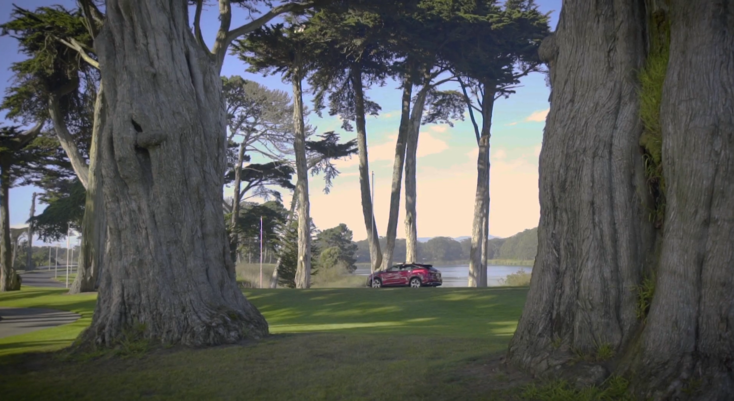 Vehicle filmed on location among Bay Area cypress trees